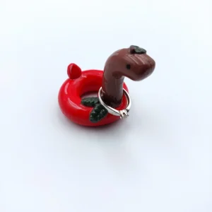 Cherry pool float ring holder