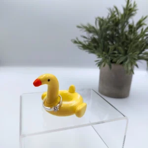Duck pool float ring holder (Kacsa úszógumis gyűrűtartó) (1)