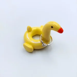 Duck pool float ring holder