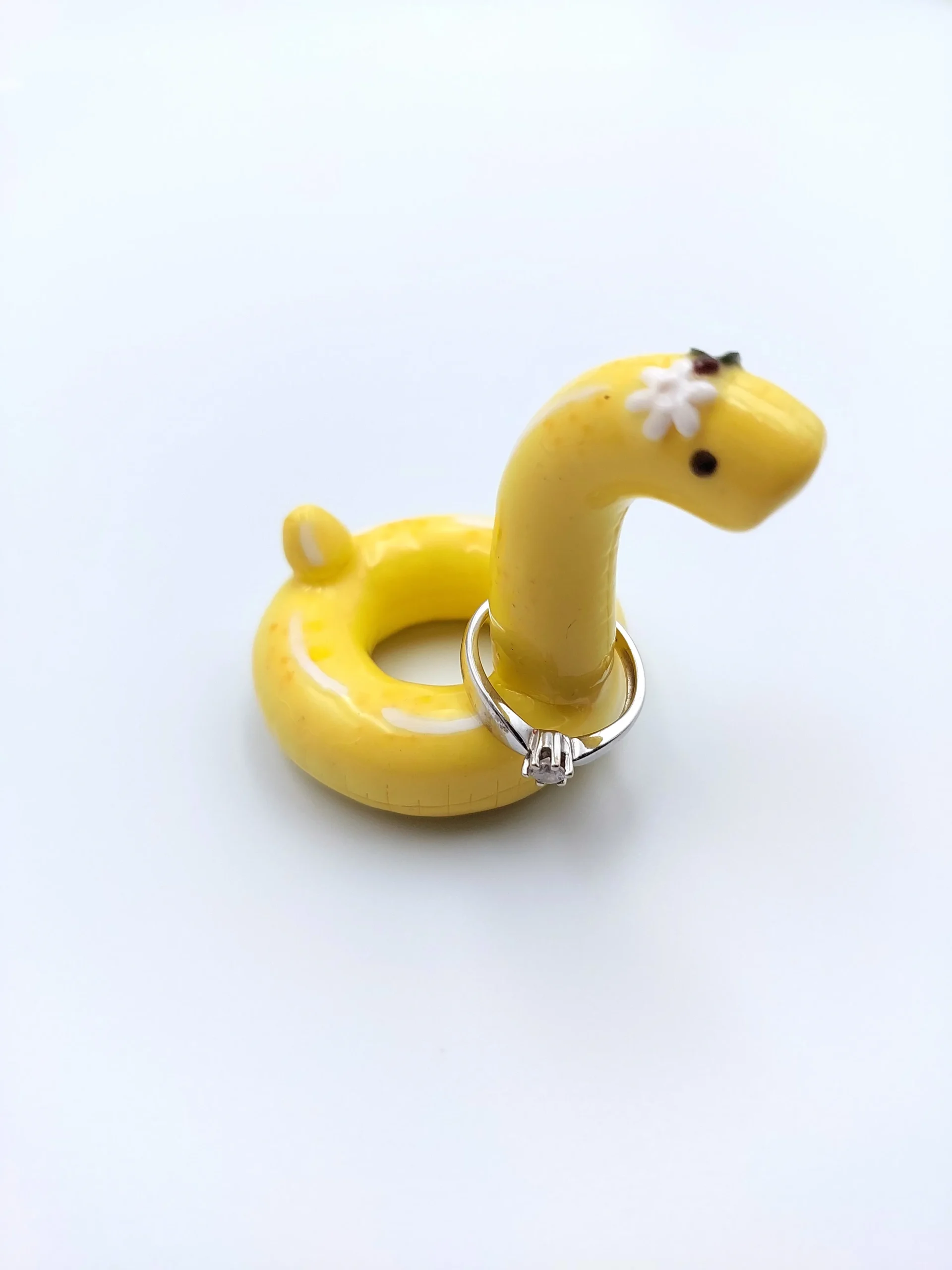 Lime pool float ring holder