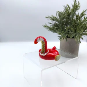 Parrot pool float ring holder (Papagáj úszógumis gyűrűtartó) (1)